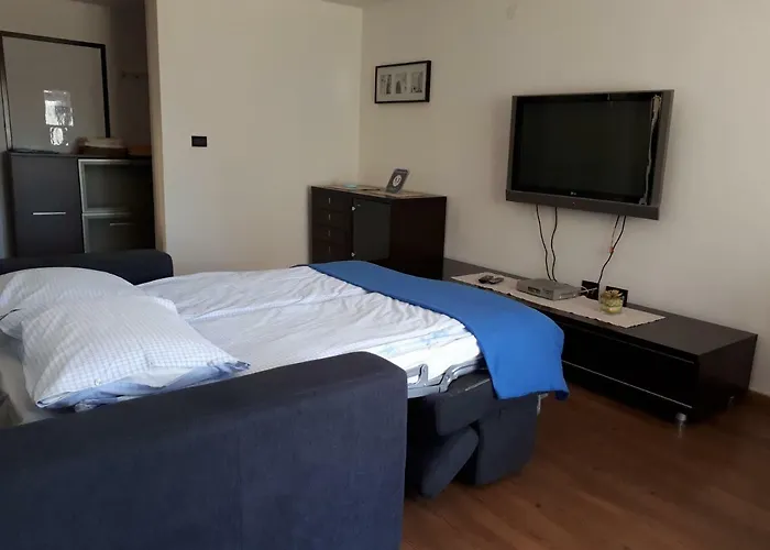 Mari Novigrad Istria